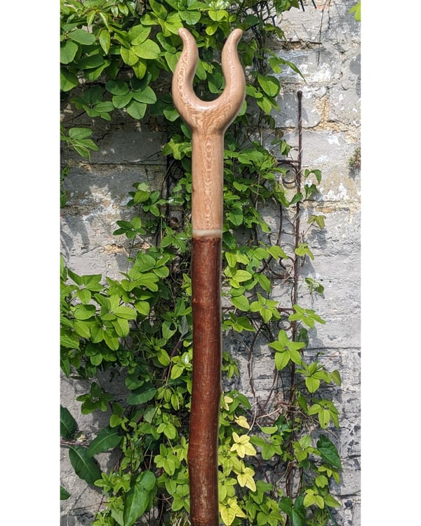 Handmade Birch hot Walking Stick with Unique Handle