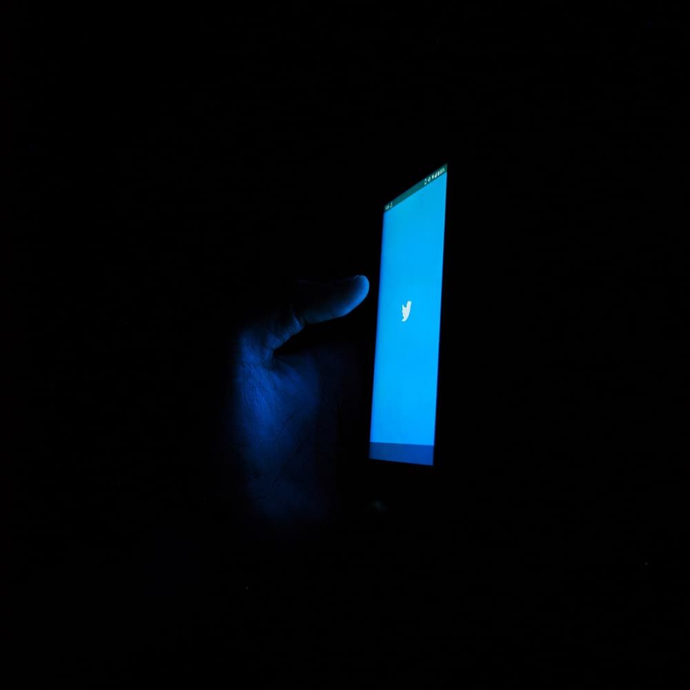 Pros and Cons of Using Facebook & Twitter Paid Vs Organic Advertising