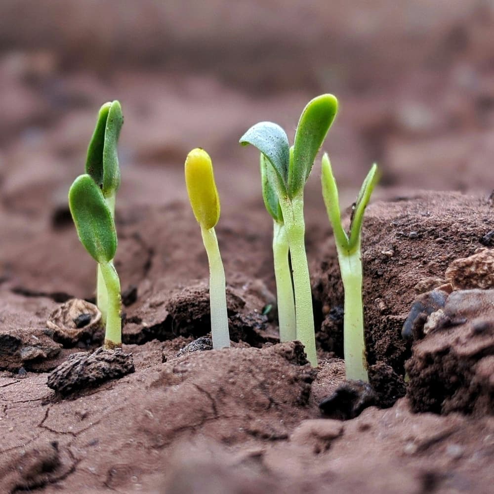 29 Experts Reveal Their Top 3 Recommendations to Grow Small Businesses