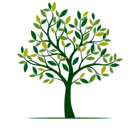 Harmony Sea Moss