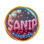 Sanip Creation